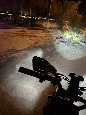 Joshua Tree Lake RV & Campground by null