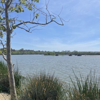 San Joaquin Marsh Wildlife Sanctuary - Parks Near Me - Irvine, California San Joaquin Marsh Wildlife Sanctuary - Parks Near Me - Irvine, California