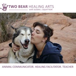 Two Bear Healing Arts | Animal Communication + Reiki - Founded by Professional Animal Communicator aka: Pet Psychic and Reiki Master Susan J. Squittieri. Phones sessions and local house calls.