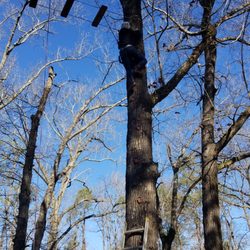 Gravatt
