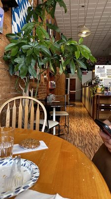 Edelweiss Pastry Shop by null