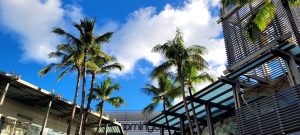 Ala Moana Center by null