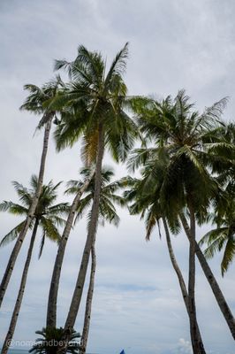 White Beach by null