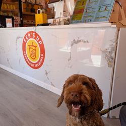 The day of their grand opening!