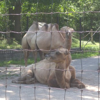 Toronto Zoo - Zoos Near Me - Toronto, Ontario Toronto Zoo - Zoos Near Me - Toronto, Ontario
