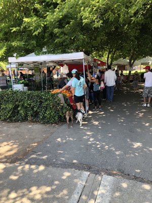 Union City Farmers' Market by null