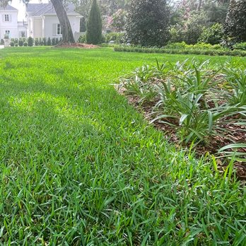 The Sod Lot - Nurseries & Gardening Near Me - Jacksonville, Florida The Sod Lot - Nurseries & Gardening Near Me - Jacksonville, Florida