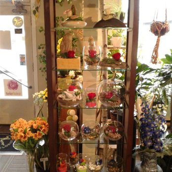 Fleuriste Juliette - Photo - Florists Near Me - Ste-Therese, Quebec Fleuriste Juliette - Photo - Florists Near Me - Ste-Therese, Quebec
