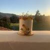 Bloom Bakery - Ojai gift card