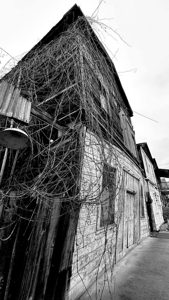 Locke Historic District