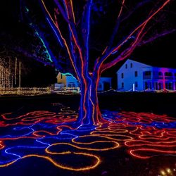 The New England Holiday Light Company