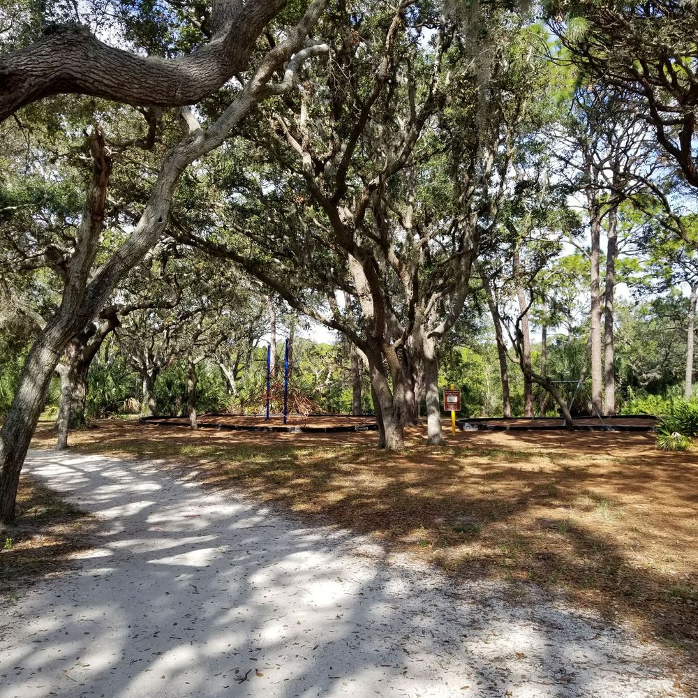 Fred Howard Park - Walking path - Parks Near Me - Tarpon Springs, Florida Fred Howard Park - Walking path - Parks Near Me - Tarpon Springs, Florida