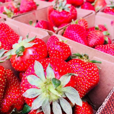 Foodwise by null