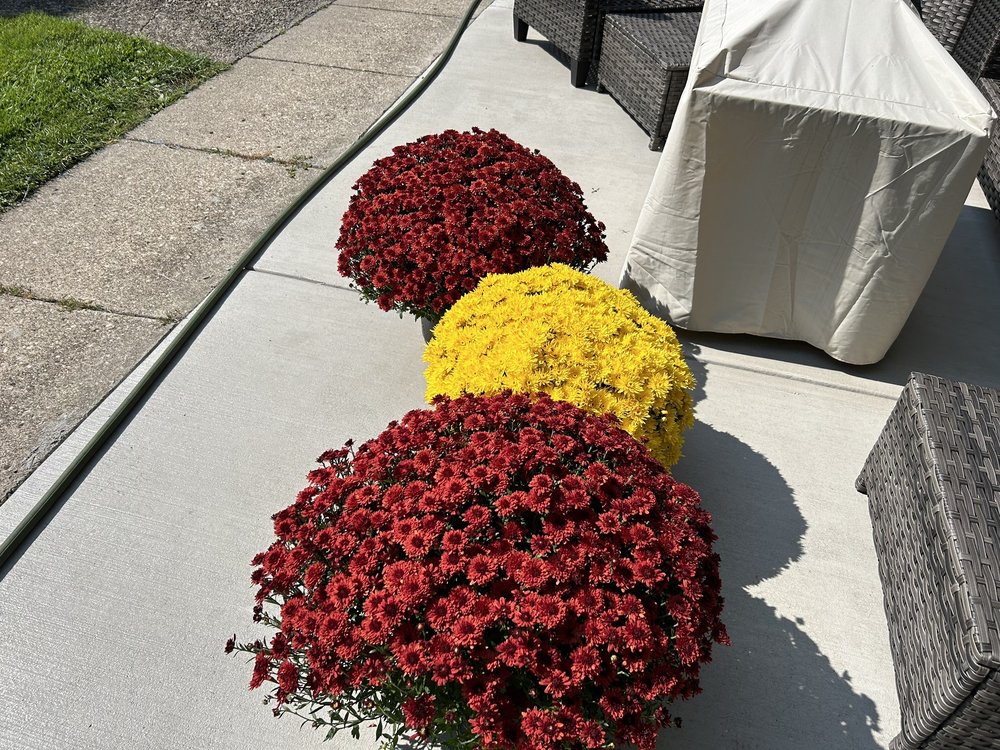 AGLE’S FARM MARKET Updated August 2024 7952 Gowanda State Rd, Eden