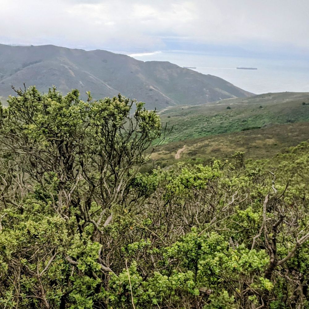 Tennessee Valley - Hiking Near Me - Mill Valley, California Tennessee Valley - Hiking Near Me - Mill Valley, California