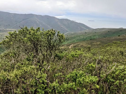 Tennessee Valley, California by null