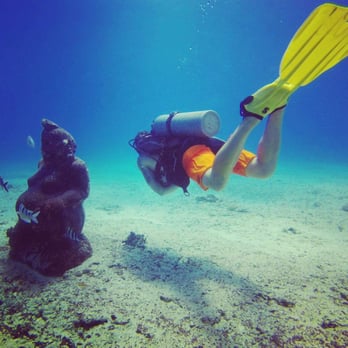 Island Divers - Scuba Diving Near Me - Honolulu, Hawaii
