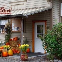 Trexler Farm - This was taken in the Fall at the Trexler Farm Cafe