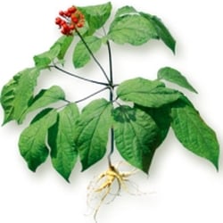 FloraFarm