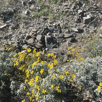 South Mountain Park - Parks Near Me - Phoenix, Arizona