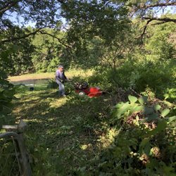 RR Equipment Sales & Service - My friend helping clear the part of my yard that runs to the river.