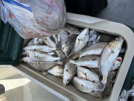 Dockside Seafood & Fishing Center by null