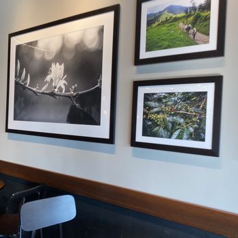 Starbucks - Coffee & Tea Near Me - Richmond Hill, Georgia Starbucks - Coffee & Tea Near Me - Richmond Hill, Georgia