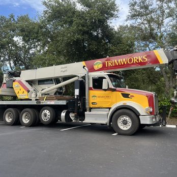 Trimworks Tree Service - Crane Assisted Removals - Tree Services Near Me - Largo, Florida Trimworks Tree Service - Crane Assisted Removals - Tree Services Near Me - Largo, Florida