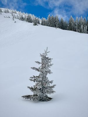 Alta Ski Area by null