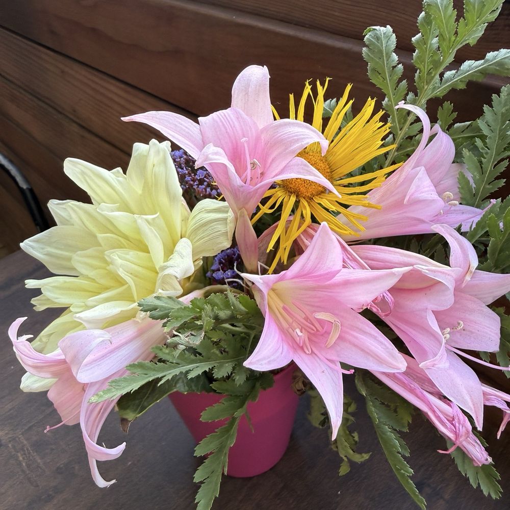Mi Pueblo el Centro - The flowers were a nice touch - Mexican Near Me - Petaluma, California