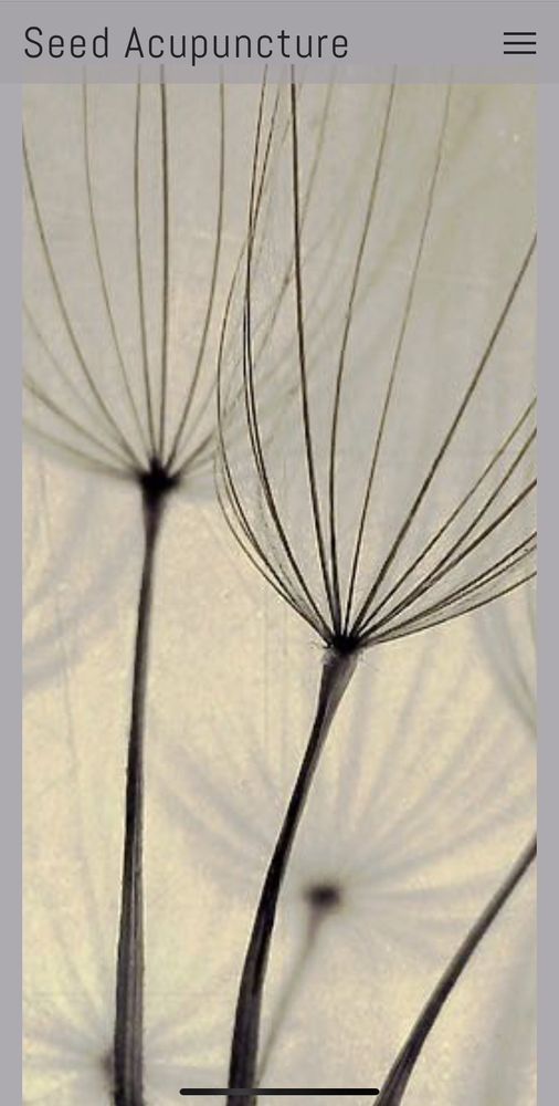 SEED ACUPUNCTURE Updated September 2024 44 Photos 715 Boylston St