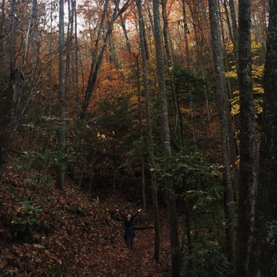 Deep Creek Trail Trailhead by null