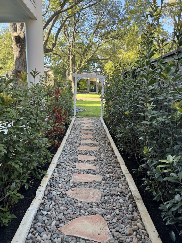 Slide of Southern Roofs and Roots
