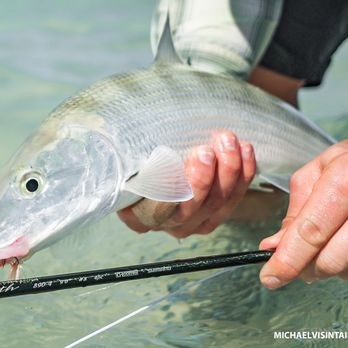 Silver Bow Fly Shop - We offer the region's largest selection of saltwater fly fishing gear, flies, and knowledge. - Outdoor Gear Near Me - Spokane, Washington Silver Bow Fly Shop - We offer the region's largest selection of saltwater fly fishing gear, flies, and knowledge. - Outdoor Gear Near Me - Spokane, Washington