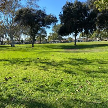 Los Altos Park - Grassy lawn - Parks Near Me - Long Beach, California