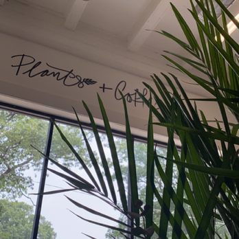 Plants & Coffee - While seated viewing the building inside seated next to some plants. - Cafes Near Me - Easton, Pennsylvania Plants & Coffee - While seated viewing the building inside seated next to some plants. - Cafes Near Me - Easton, Pennsylvania