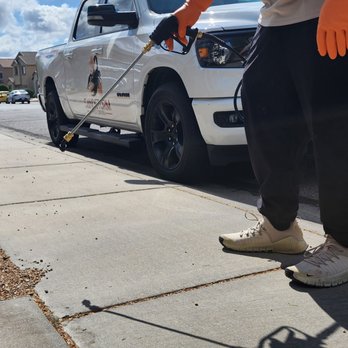 Sandstorm Pest Control - Pest Control Near Me