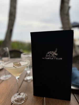The Turtle Club by null