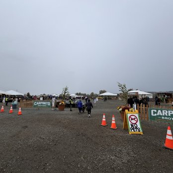 Carpinito Brothers Pumpkin Patch - Farmers Market Near Me - Kent, Washington Carpinito Brothers Pumpkin Patch - Farmers Market Near Me - Kent, Washington