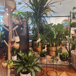 Botanical Dwellings