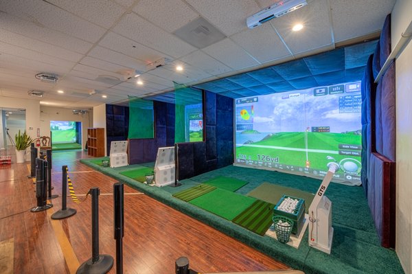 W Screen Golf by null