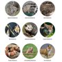 Photo of Triad Wildlife Experts