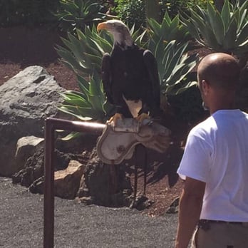 Rancho Texas Theme Park - Kids Activities Near Me