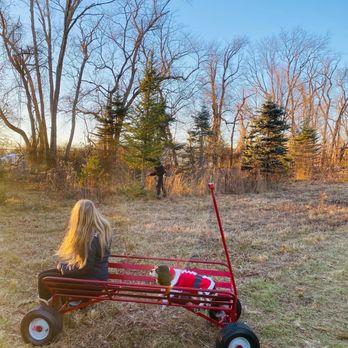 Edwards' Christmas Tree Farm - Christmas Trees Near Me - Wrightstown, New Jersey