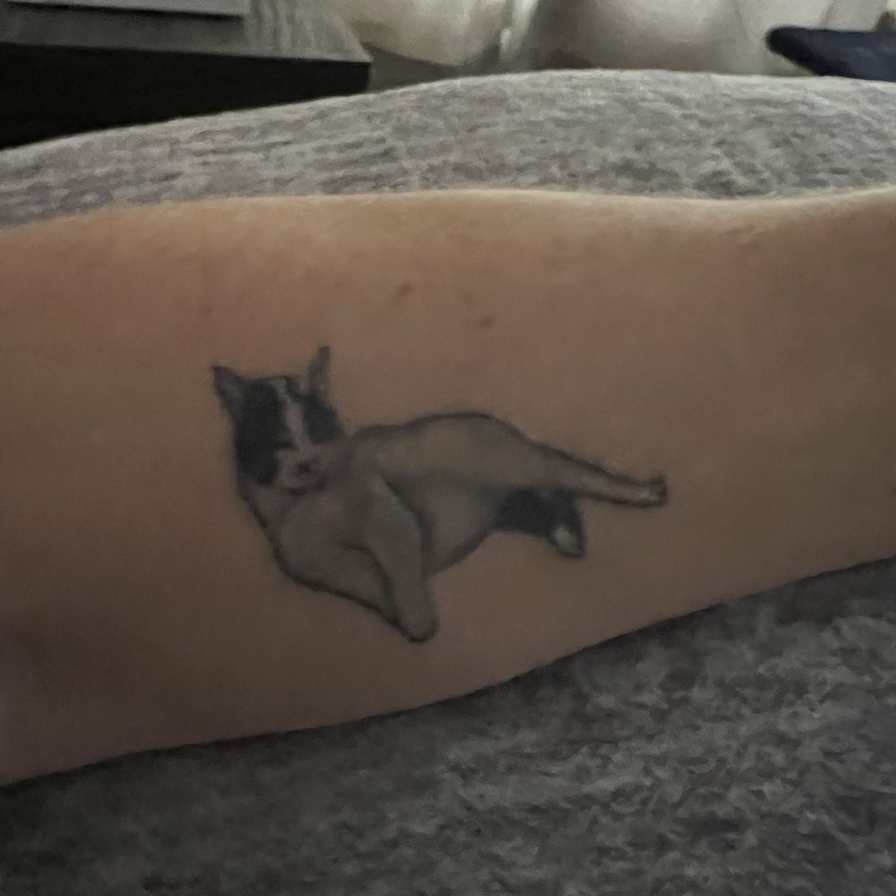 Jack & Diane's Tattoo - After healing - Tattoo Near Me - Gulfport, Mississippi Jack & Diane's Tattoo - After healing - Tattoo Near Me - Gulfport, Mississippi