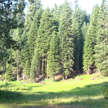Quaking Aspen Campground - View of meadow from site - Campgrounds Near Me - Springville, California Quaking Aspen Campground - View of meadow from site - Campgrounds Near Me - Springville, California