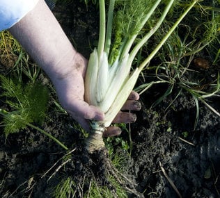 Restaurant Eindeloos by null