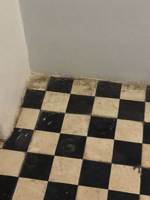 Da House Hotel by null