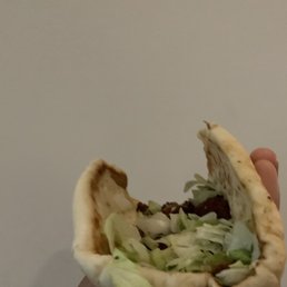 Falafel Sandwich