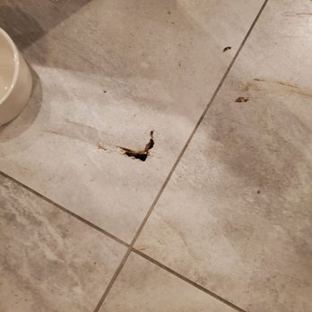 Trusting Connections - Very hard day cat feces that has been there a long time. Next to their water bowls VERY VISIBLE - Nanny Services Near Me - Oro Valley, Arizona Trusting Connections - Very hard day cat feces that has been there a long time. Next to their water bowls VERY VISIBLE - Nanny Services Near Me - Oro Valley, Arizona